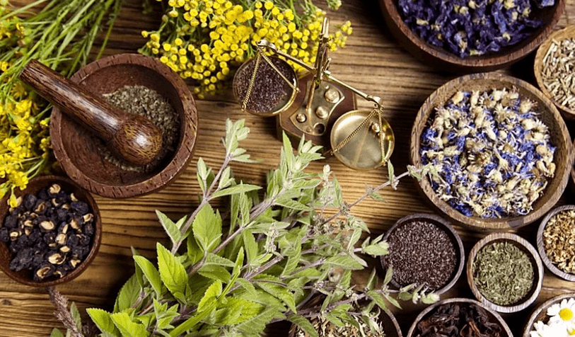 Treatment of parasites with folk remedies