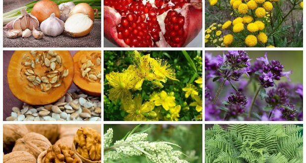 Folk treatment methods for worms
