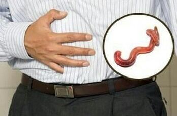 the effects of parasites on the human body