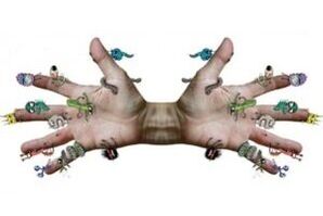 Microbial parasites on human hands
