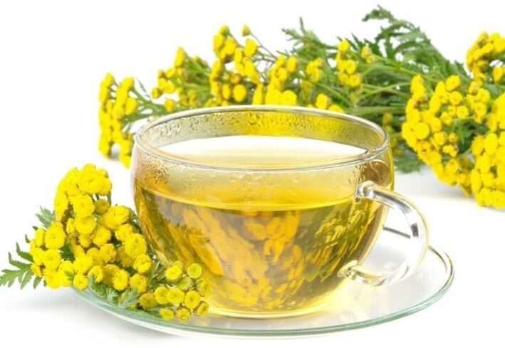 Tansy decoction against parasites in the body
