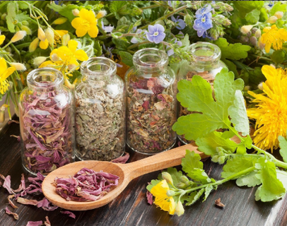 Antiparasitic herbs to eliminate worms
