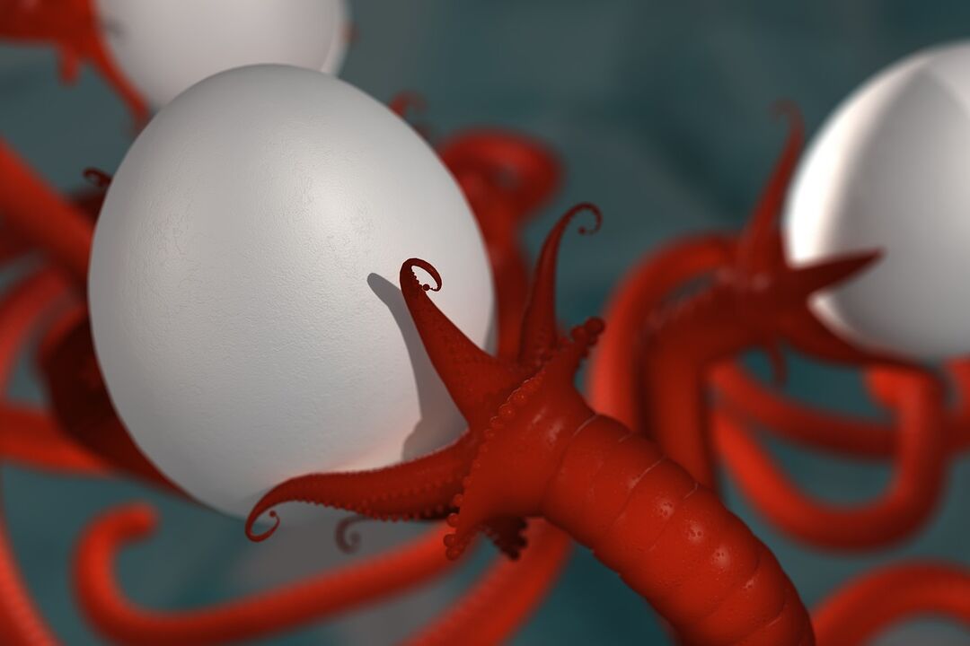 Worm parasite of humans